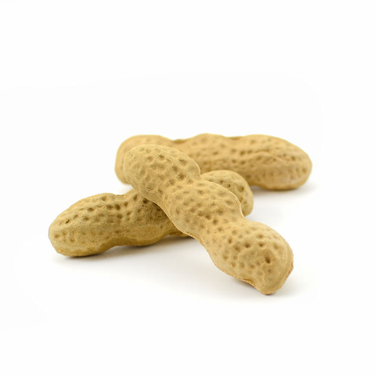 Peanut Teapet -  • Teaware House