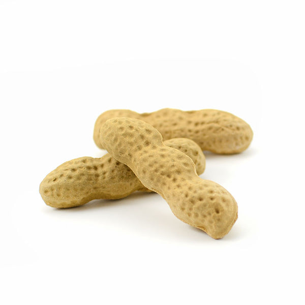 Peanut Teapet -  • Teaware House